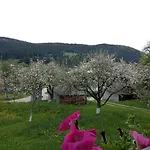 Lodge Pidkova Verkhovyna
