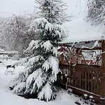 Pidkova Lodge *