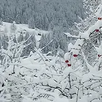 Pidkova Lodge Verkhovyna