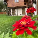 Lodge Pidkova *
