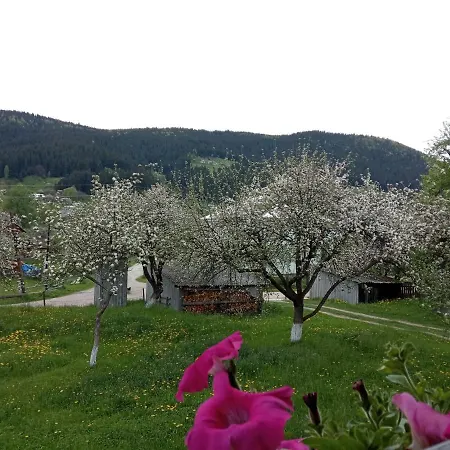 Lodge Pidkova Verkhovyna