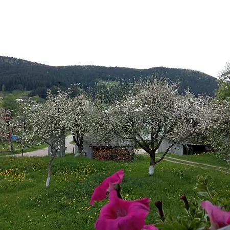 Lodge Pidkova Verkhovyna