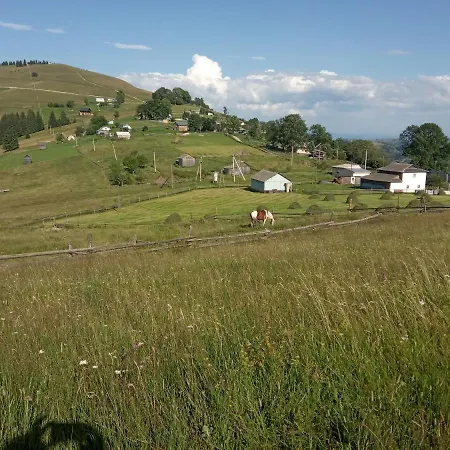 Pidkova Lodge *
