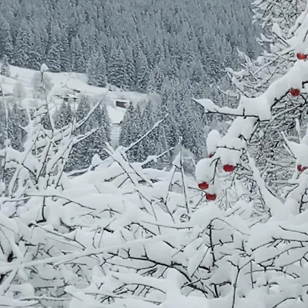 Pidkova Lodge Verkhovyna