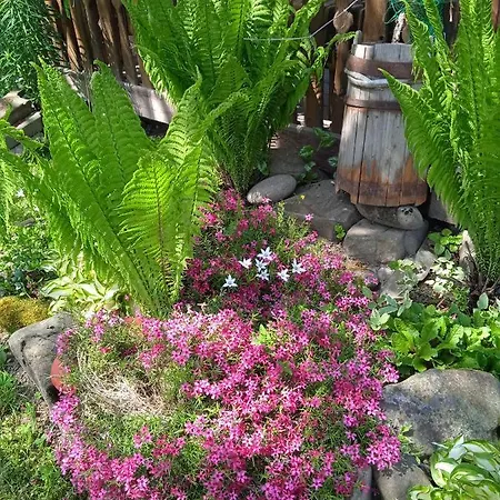 Pidkova * Verkhovyna