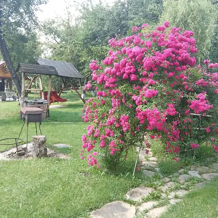 Pidkova *