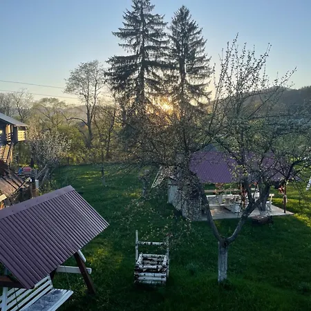 Pidkova *