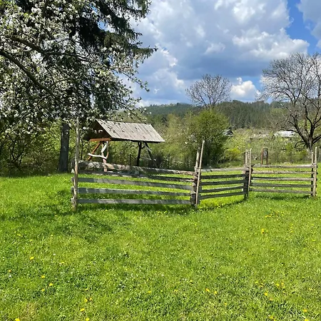 Lodge Pidkova