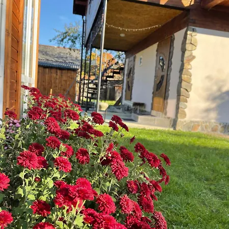 Lodge Pidkova