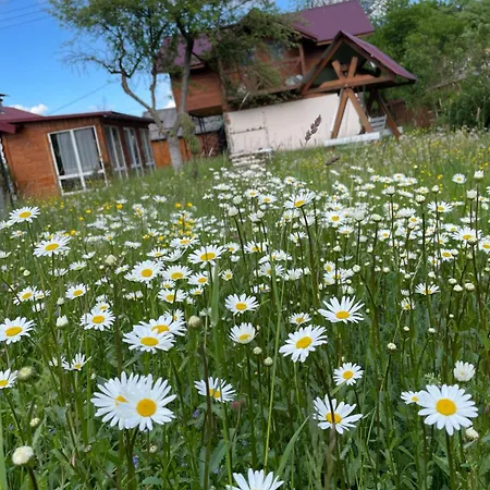 Pidkova ロッジ ヴェルホヴィナ