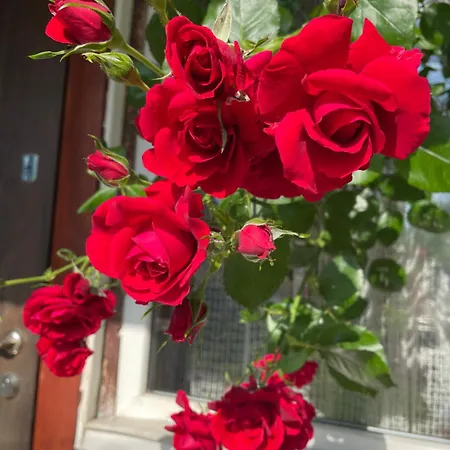 Pidkova ヴェルホヴィナ