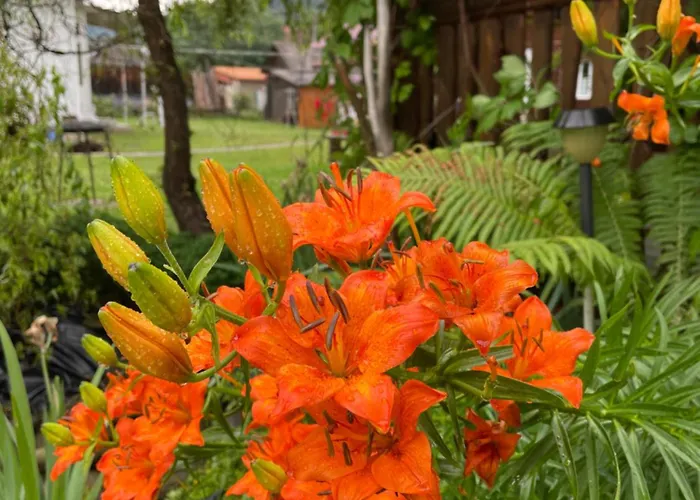 Pidkova Verkhovyna
