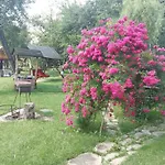 Pidkova *
