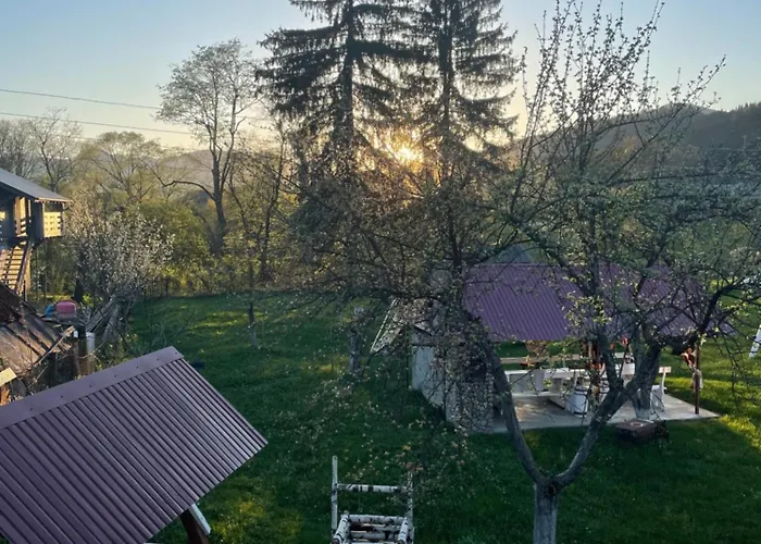 Pidkova *